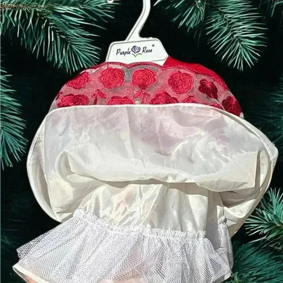 3-6mo Embroidered Christmas white and red Purple&Rose dress. Dsct w bundle. - Picture 7 of 10